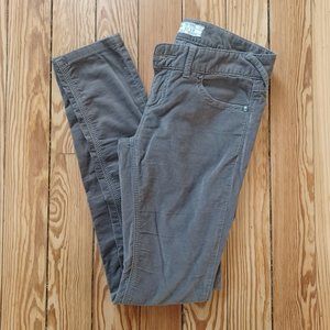 Free People Gray Velvet Pants